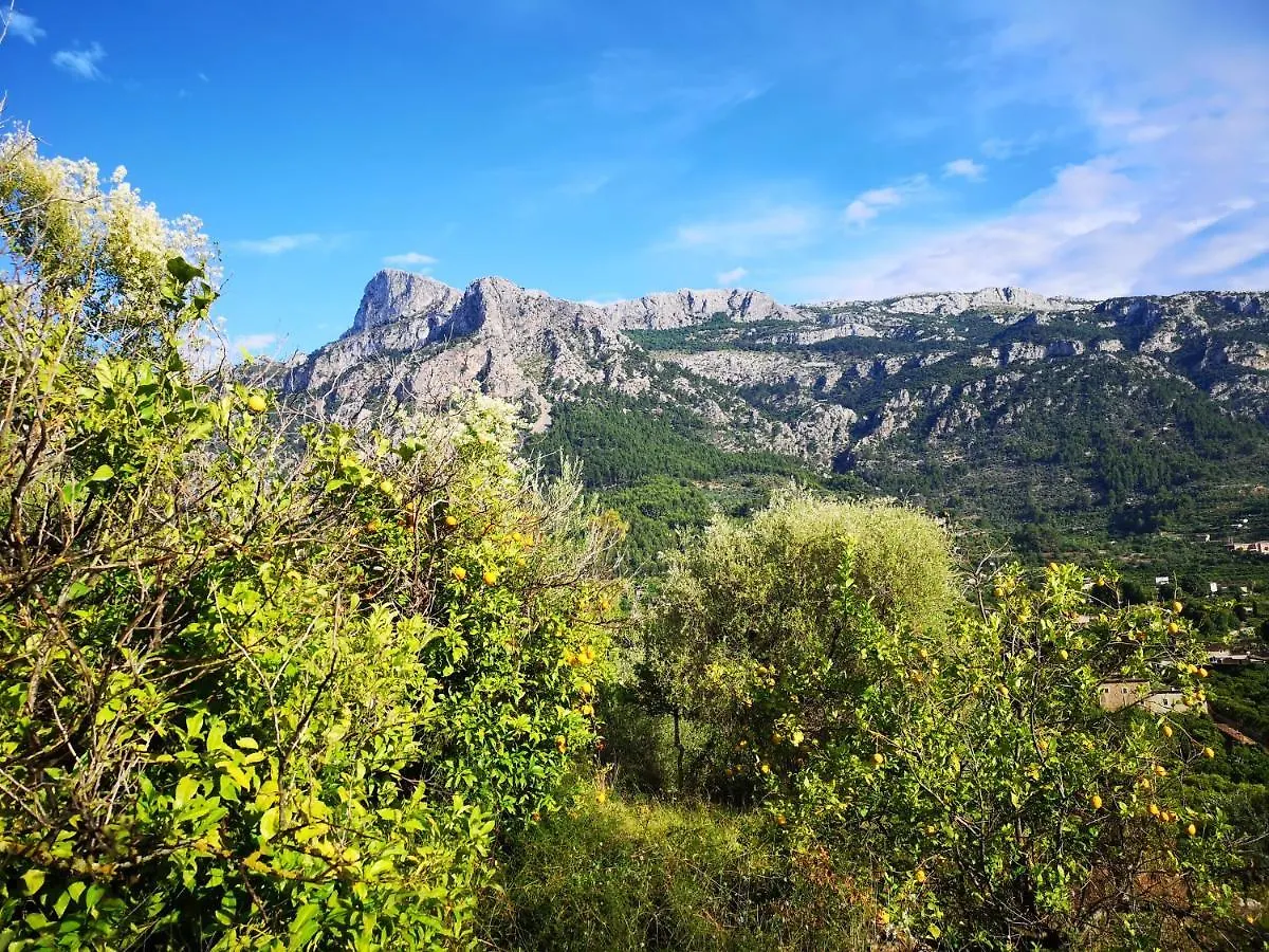 Holiday home Villa Ideal Soller Spain